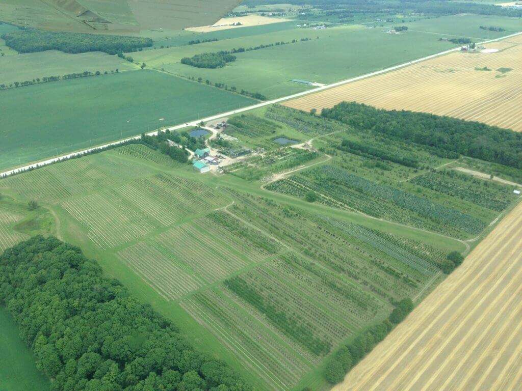 Aerial photo of Clearview Aerodrome