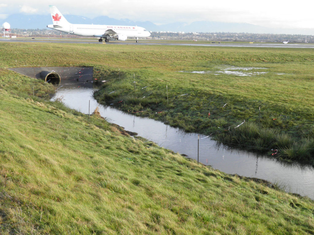 Wires strung across a ditch at Vancouver International Airport act as a deterrent to birds who may otherwise take up residence on the airfield. Gary Searing Photo