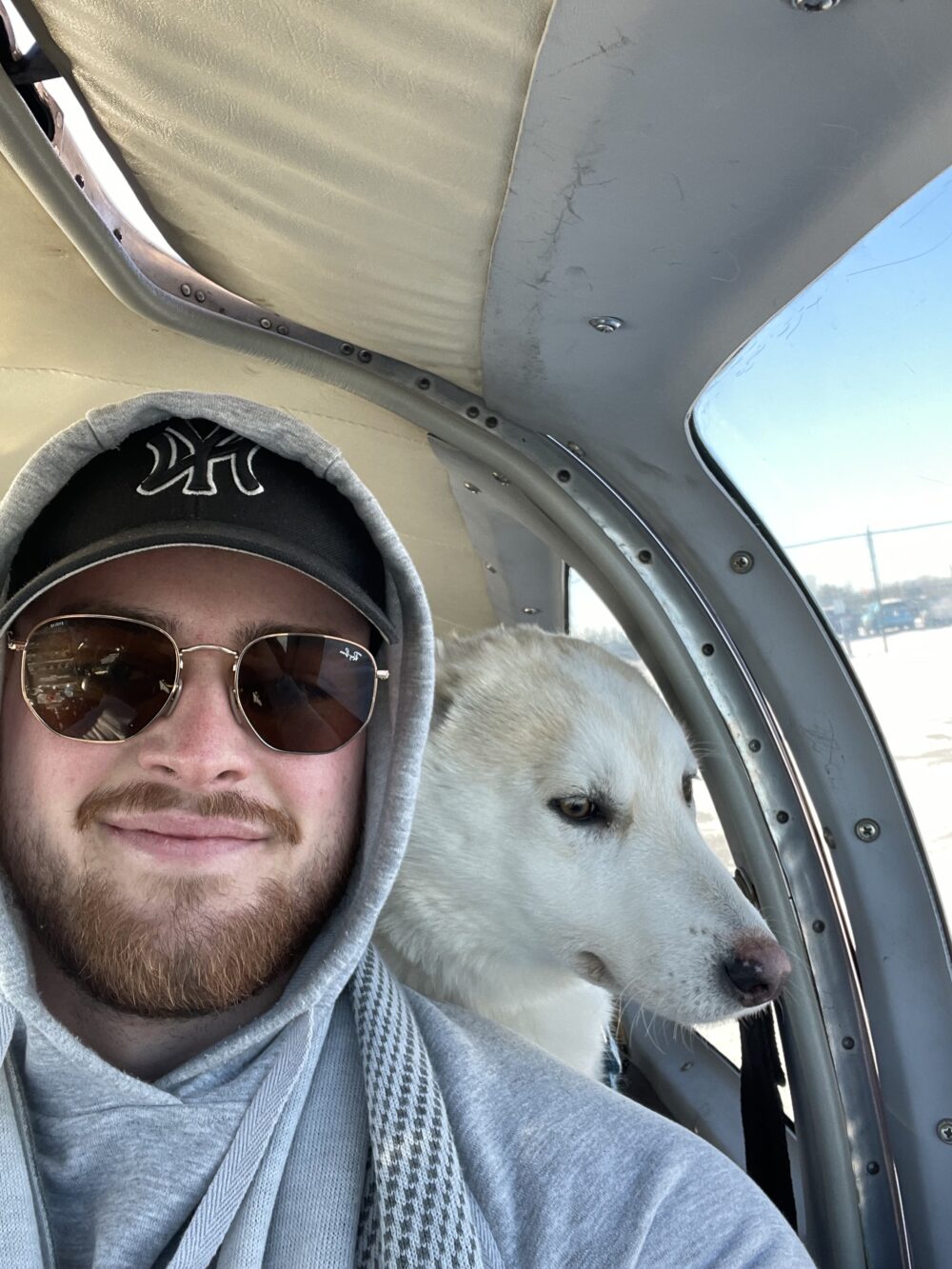 Pilots4Paws: Canadian pilots carry out rescue flights for dogs in ...