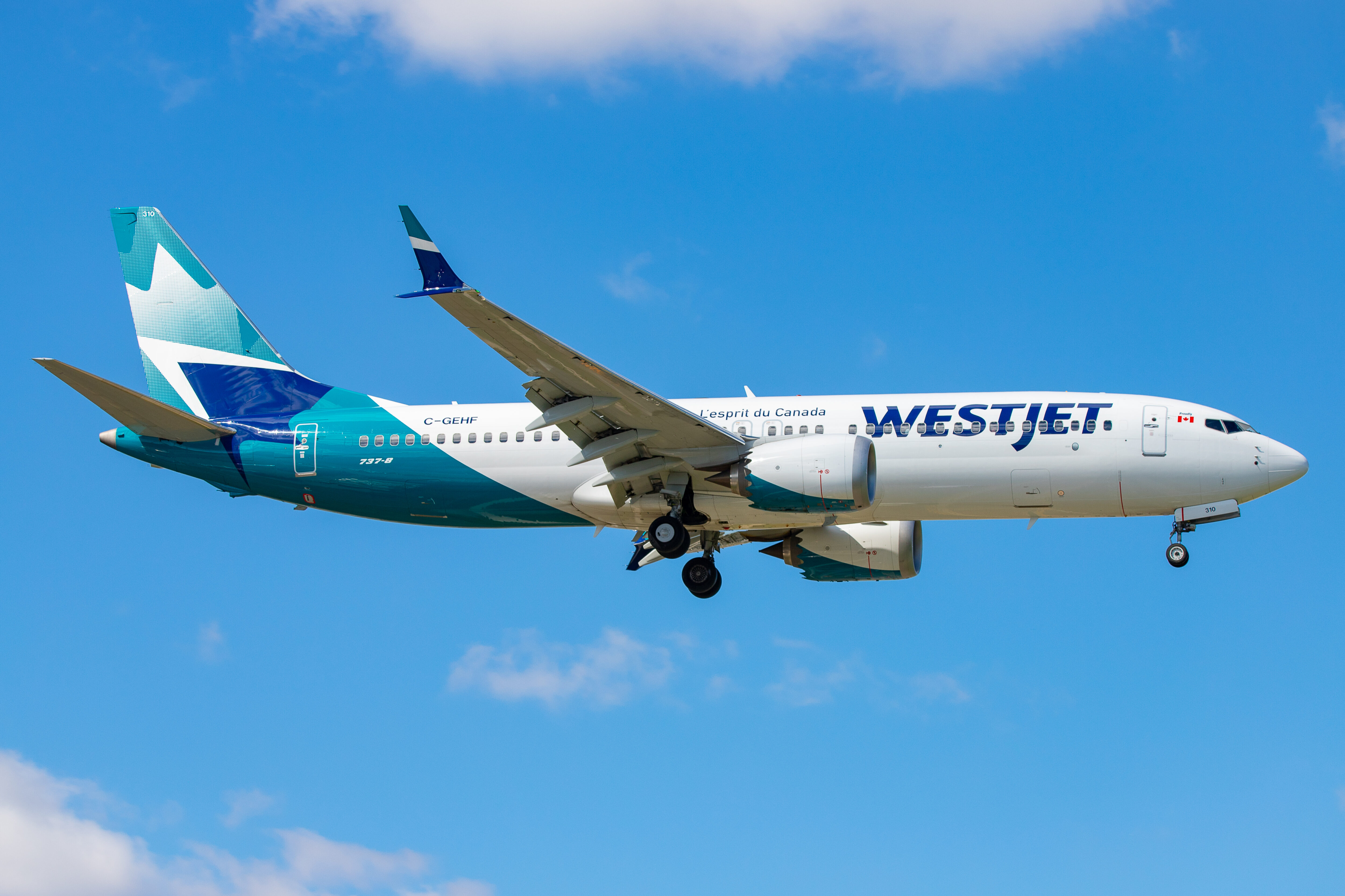 WestJet announces largest network expansion from Edmonton in airline's  history - Skies Mag